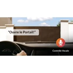 ISG-02WEU203 Récepteur Connecté Standard Lite Gate Pour Portail ISMARTGATE -Porte Accessoires Magasin voice control gate 800x800